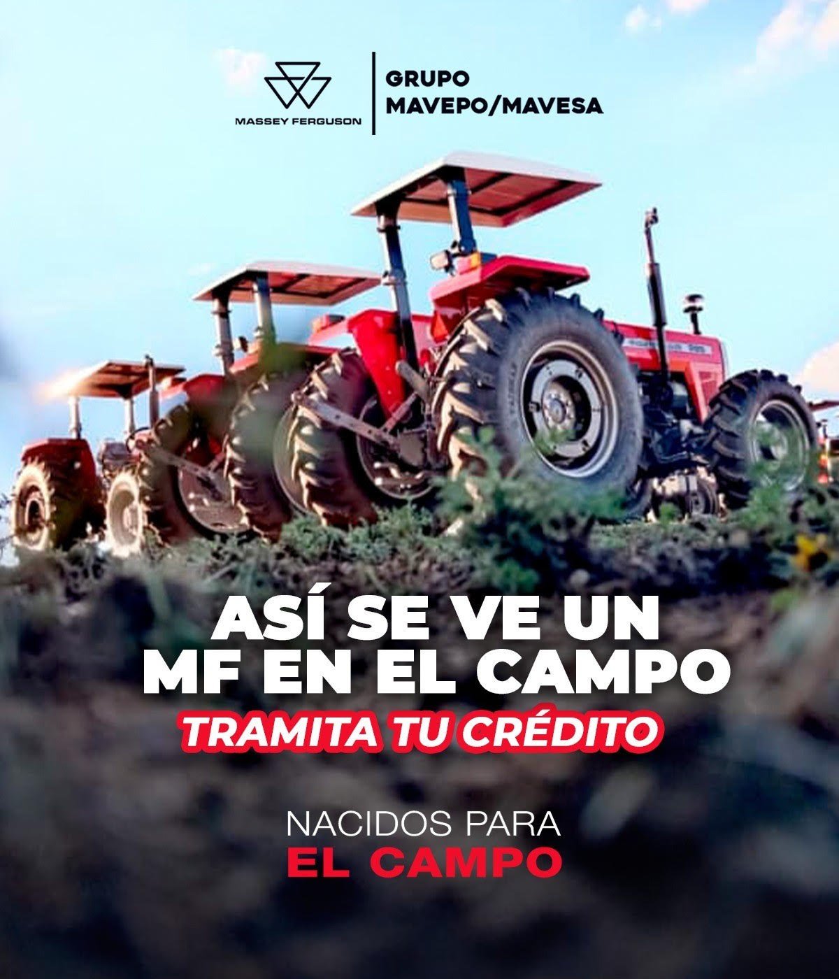 Promociones imagen 1