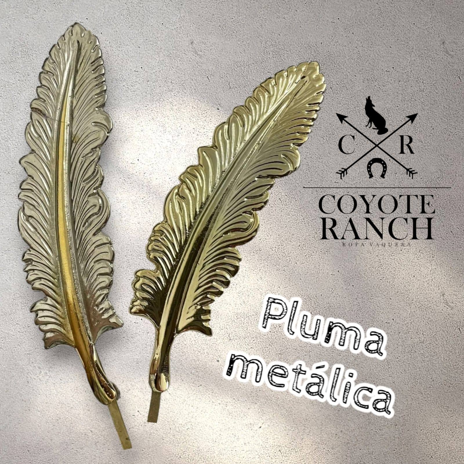 accesorios imagen 13