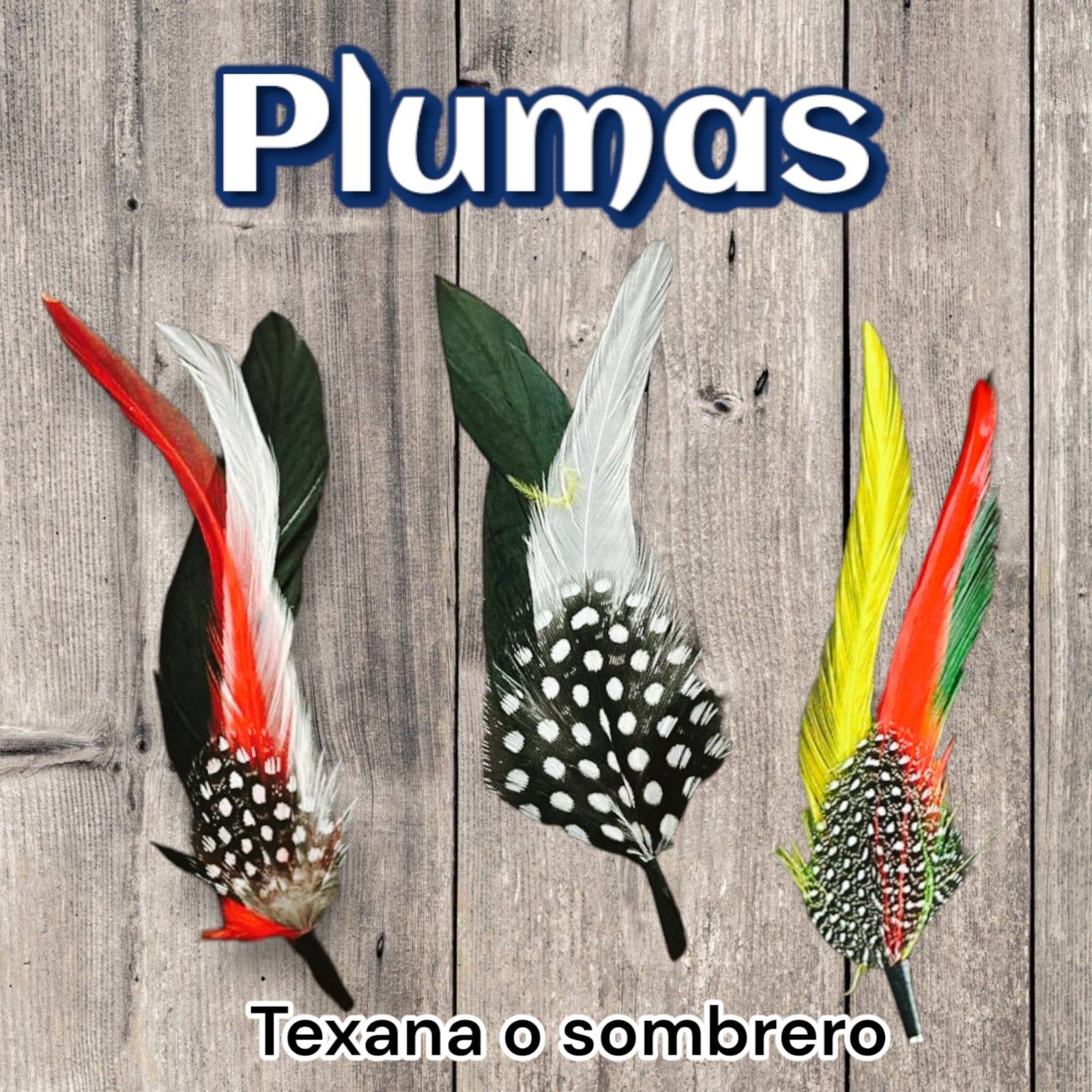 accesorios imagen 14