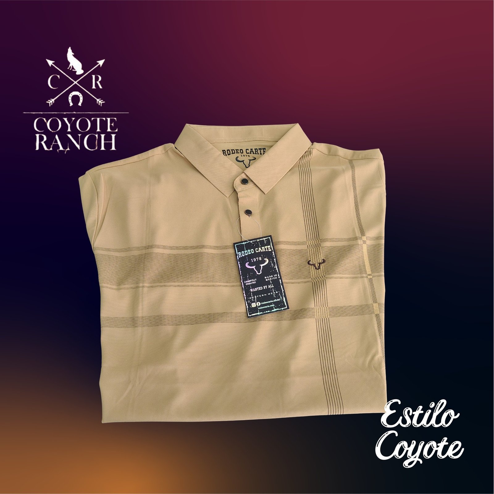 camisas_caballero imagen 2