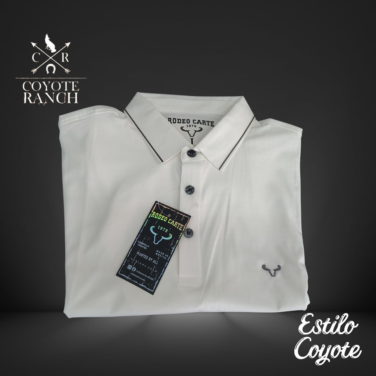 camisas_caballero imagen 3