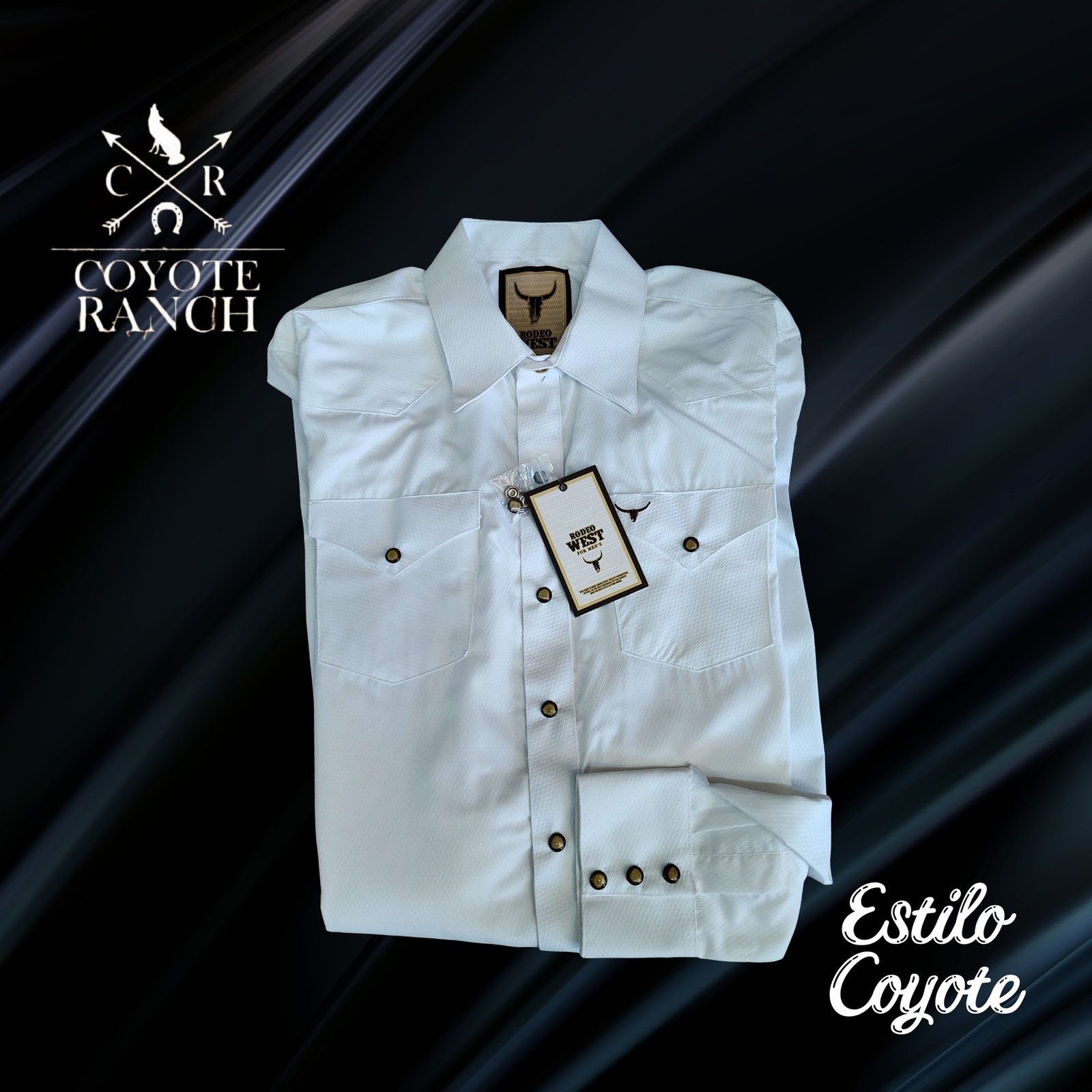 camisas_caballero imagen 6