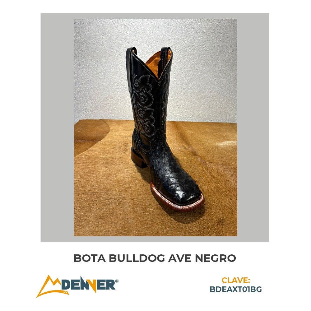 Catálogo 2025 imagen 19